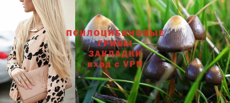 Галлюциногенные грибы Magic Shrooms  Нарткала 